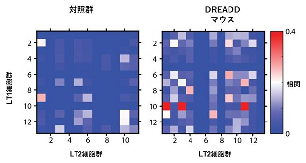 CA2抑制による二つの体験情報の混在の図