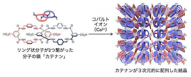 分子の鎖「カテナン」を精密に3次元配列させて作る結晶の図