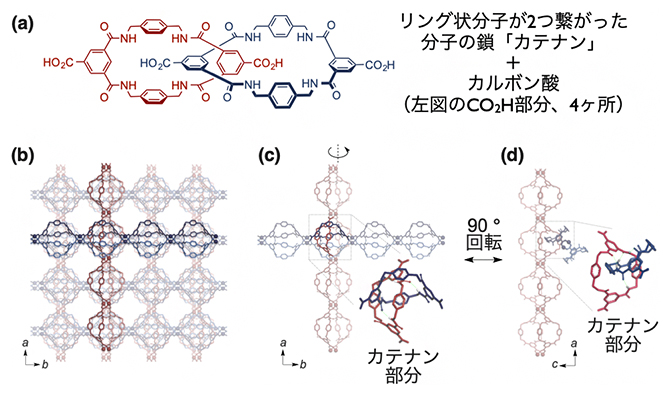 合成したカテナン分子の構造とコバルトイオンで連結した結晶の構造の図