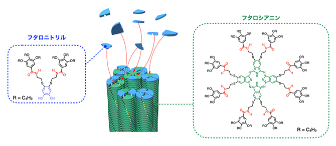 自己触媒超分子重合のメカニズムとフタロニトリルおよびフタロシアニンの化学構造の図