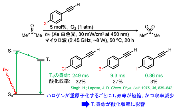 ハロゲン原子を持つフェニルアセチレンを用いた対照実験の図