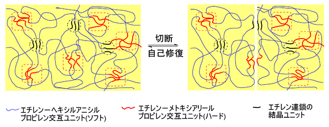 新しい機能性ポリマーのミクロ相分離構造の模式図と自己修復のメカニズムの図