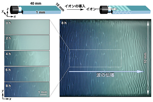 大気中の二酸化炭素を利用した、ナノシートの波運動の実現の図