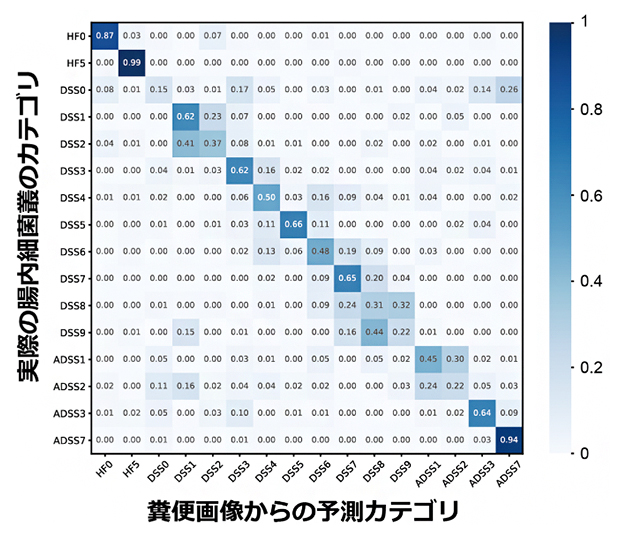 糞便画像による腸内細菌叢のカテゴリの予測の例の図