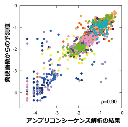 糞便画像からアンプリコンシーケンス解析結果を予測した例の図