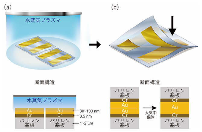 水蒸気プラズマ接合（WVPAB）を用いた薄膜金電極の接合方法の図