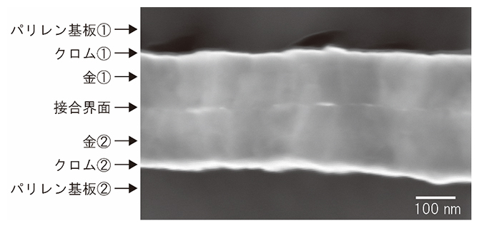 WVPABを用いて接合した金電極の断面のSTEM画像の図