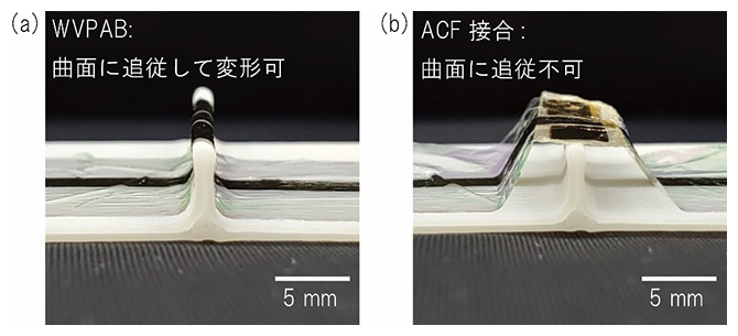 WVPABと異方導電性テープ（ACF）を用いた接合サンプルの接合部の柔軟性の比較の図