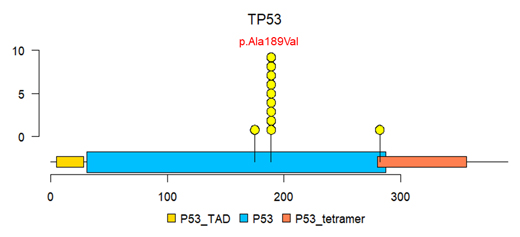 TP53遺伝子に存在する病的バリアントの位置と保有人数の図