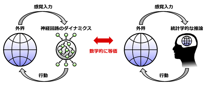 神経回路のダイナミクスとベイズ推論の等価性の概念図の画像