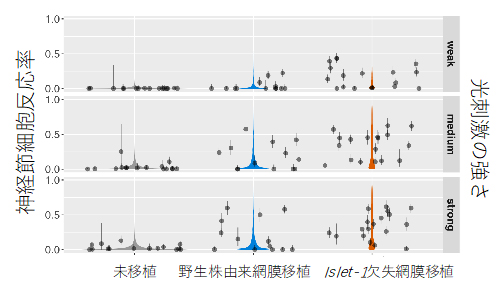 移植視細胞への光刺激に反応する宿主の神経節細胞の図