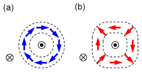 スキルミオンとアンチスキルミオンの模式図の画像