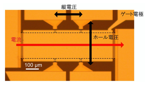 積層薄膜試料の電気伝導測定用素子の図
