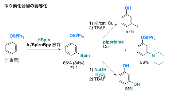 ケイ素置換基で保護されたフェノール誘導体のメタ位官能基化の例の図