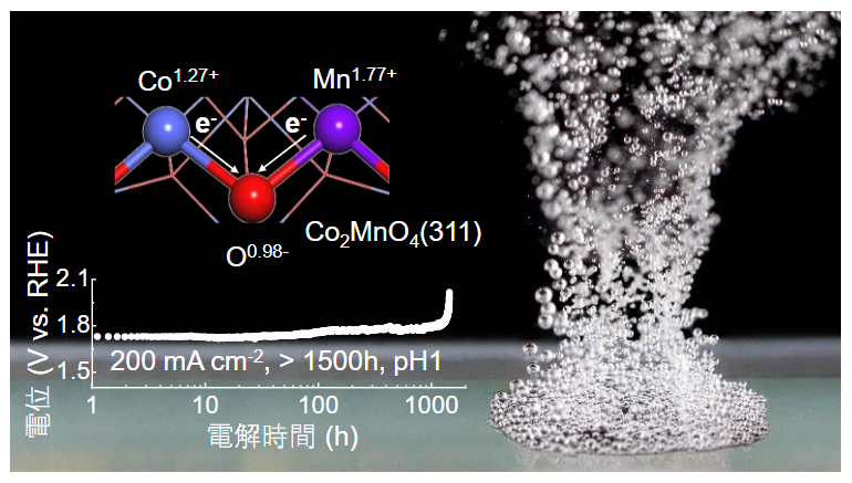 触媒の構造と電解の実験データ（左）と水の電気分解で触媒から発生する大量の酸素の図