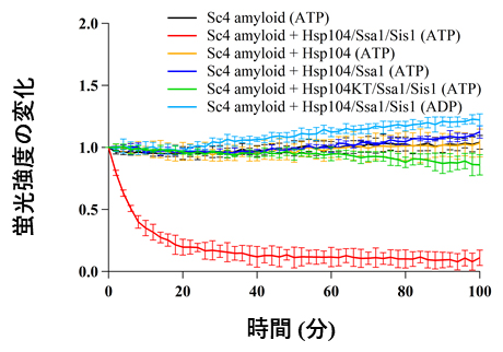 再構成系を用いたSc4アミロイドの脱凝集反応の図