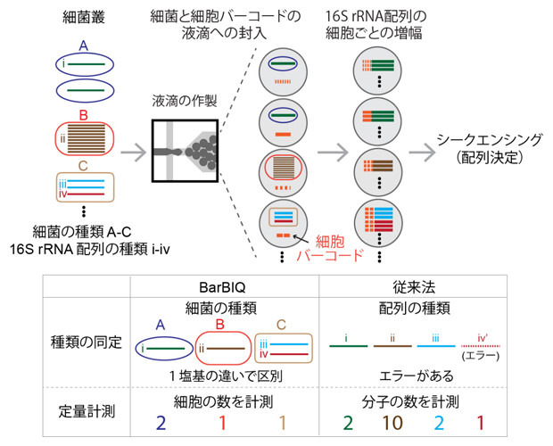 BarBIQ法の手順および従来法との比較の図