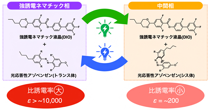 光で誘電率を大幅に自在制御できる液晶性強誘電体 理化学研究所