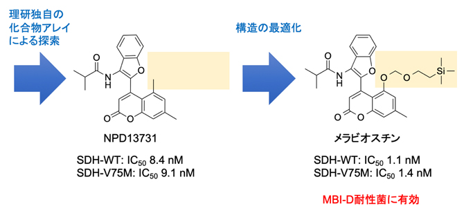 MBI-D農薬耐性イネいもち病菌の防除化合物メラビオスチンの創製の図