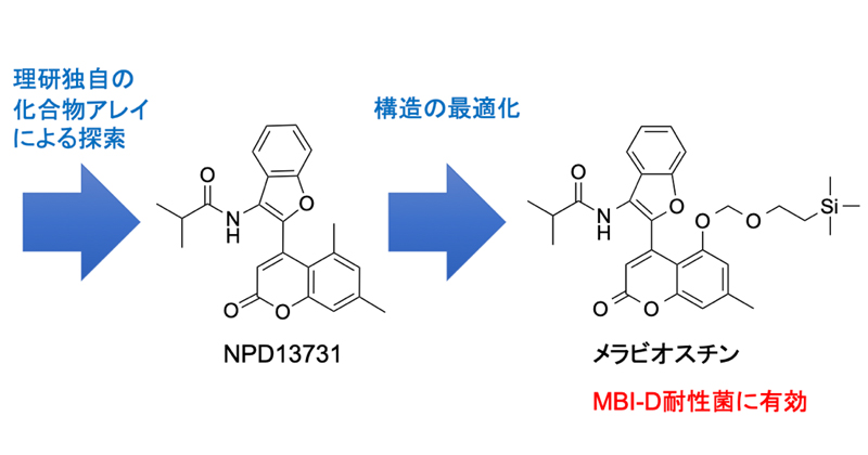 農薬耐性イネいもち病菌の防除化合物 | 理化学研究所