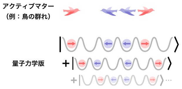 状態の重ね合わせで表現される量子世界のアクティブマターの概念図の画像