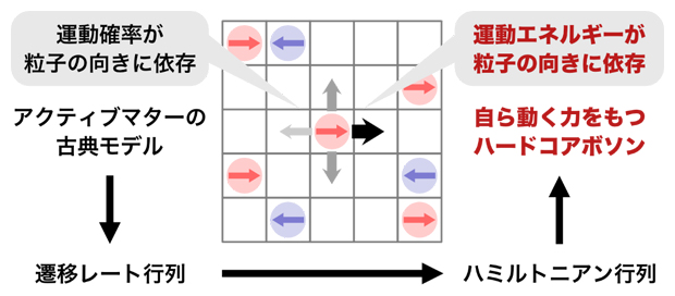 アクティブマターの古典モデルと量子モデルの対応の図