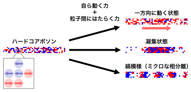 自ら動く力によって引き起こされる量子系の相転移の図