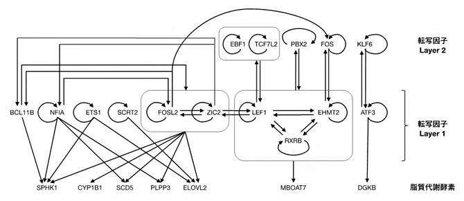 合計3個以上のトランスクリプトームデータセットに登場するエッジから成るDRNの図