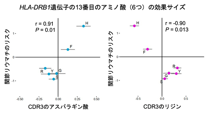 HLA-DRB1遺伝子の13番目のアミノ酸多型の効果サイズの図