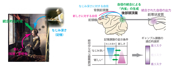 なじみ深さと新しさに対する自信が大脳皮質後部頭頂葉で統合され、内省が生じるの図