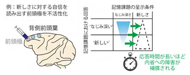 統合的な内省による自信の読み出し障害に対する補償の図