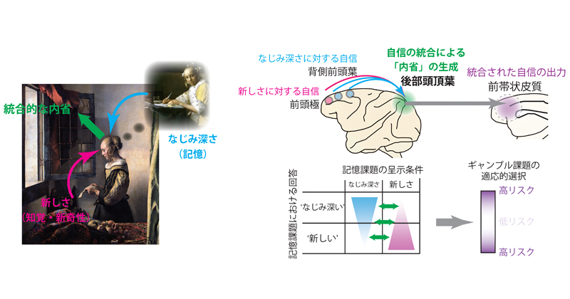 機能的神経科学