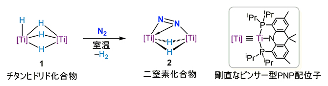 チタンヒドリド化合物1を用いた窒素分子から二窒素化合物2への還元反応の図