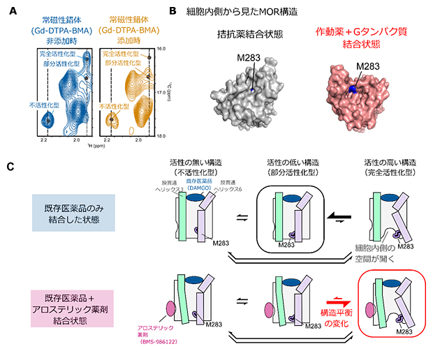 アロステリック薬剤による構造平衡の変化の図