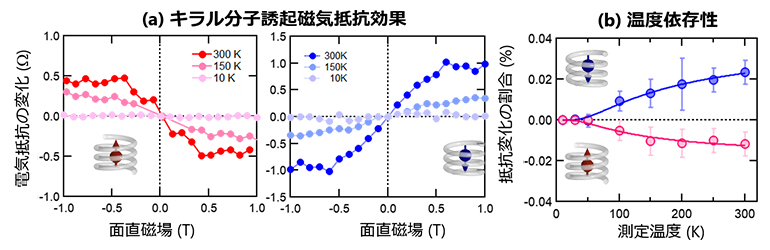 キラル分子誘起磁気抵抗効果とその温度依存性の図