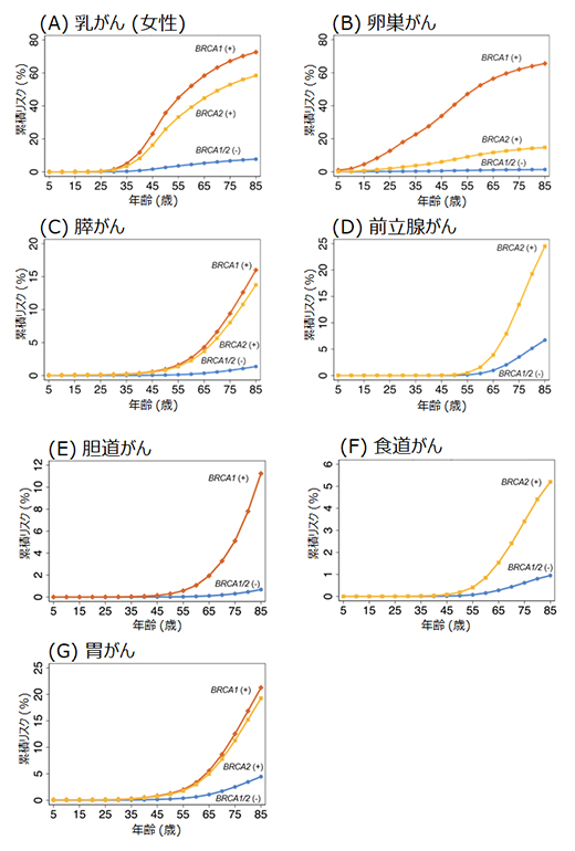 BRCA1/2遺伝子の病的バリアントが関係する7がん種の生涯累積リスクの図