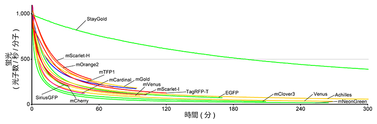 明るさを考慮した褪色曲線の図