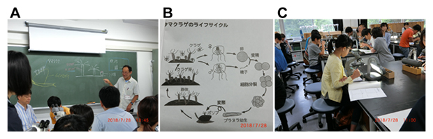 課外授業の写真