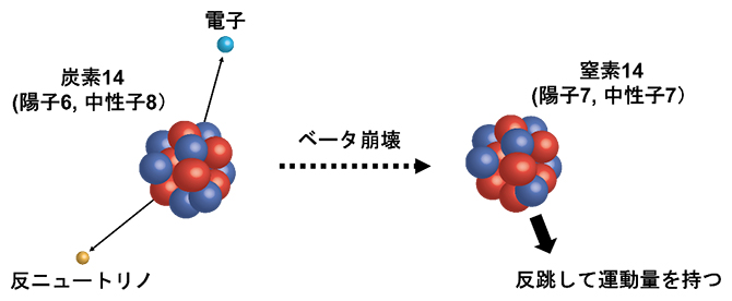 炭素14のベータ崩壊とその際に受ける反跳の図