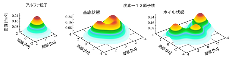 α粒子、12C原子核の基底状態とホイル状態の核子密度分布（第一原理計算の結果）の図