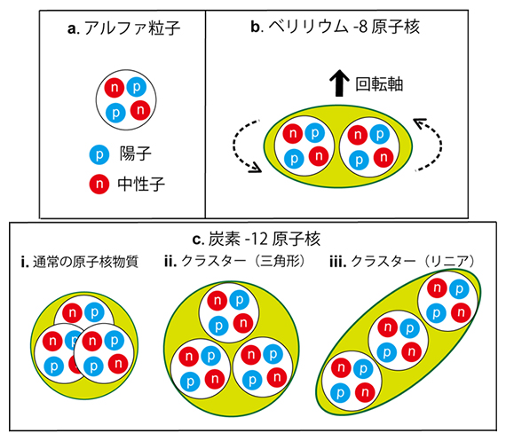 αクラスター仮説の模式図の画像