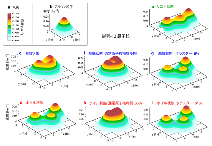 炭素-12原子核のさまざまな核子密度分布の図