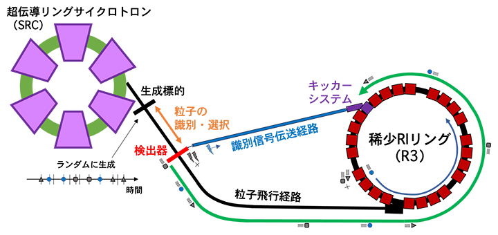 稀少RIリングによる超高速質量測定法の概念図の画像