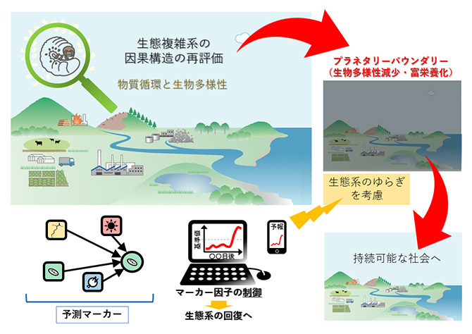 将来の持続可能な社会構築の実現に向けた本研究の視点の活用事例の図