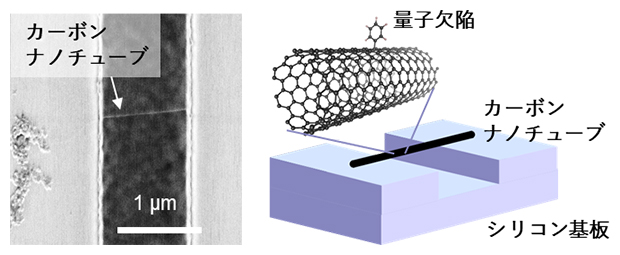 量子欠陥を導入したカーボンナノチューブの走査電子顕微鏡像（左）と模式図の画像