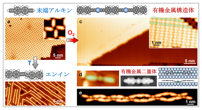 末端アルキンのC-CカップリングとC-H活性化の選択の図