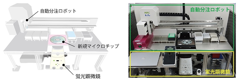 opn-SATORI装置の図