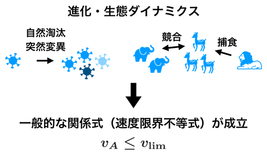 幅広い進化・生態ダイナミクスで成立する速度限界不等式（vA:変化速度、vlim:速度限界）の図