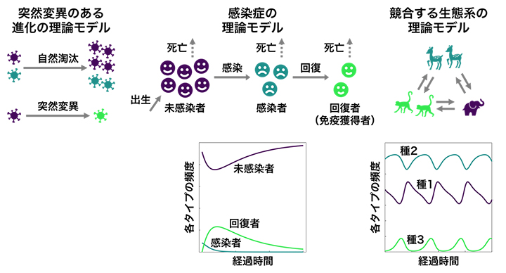 速度限界不等式が成立するさまざまな非線形の進化・生態系モデルの図