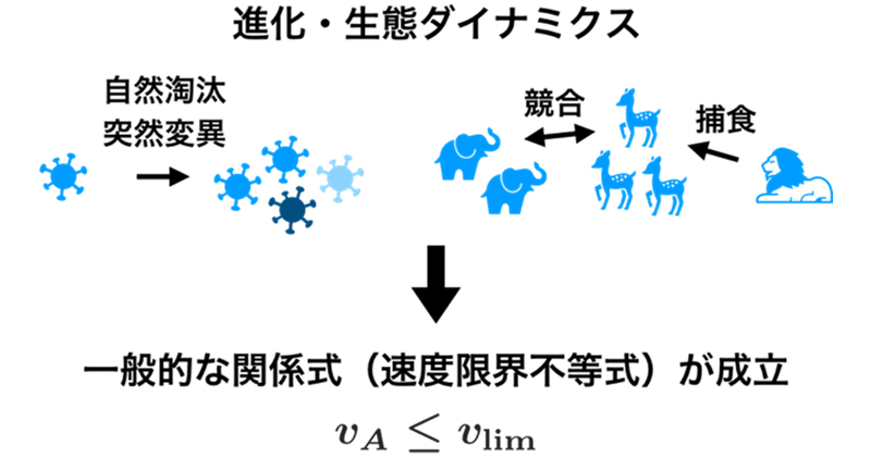 進化・生態ダイナミクスの共通法則 | 理化学研究所